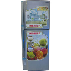 TỦ LẠNH TOSHIBA GR-K21VPB